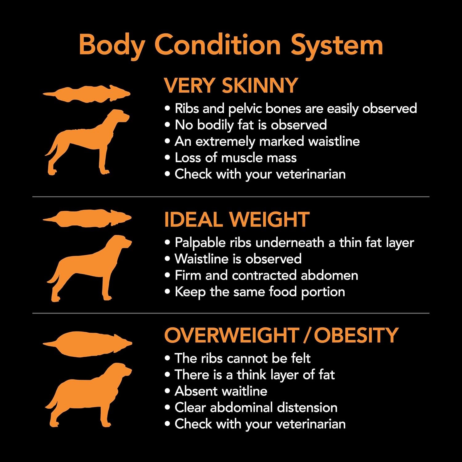 SUPERCOAT SMARTBLEND Puppy Dry Dog Food Large Breed Chicken 18Kg